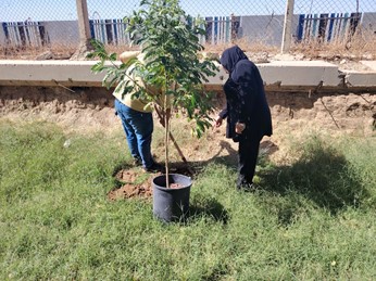 تعزيزًا للبيئة الجامعية المستدامة… قسم هندسة الإلكترونيك والاتصالات ينظم حملة تشجير